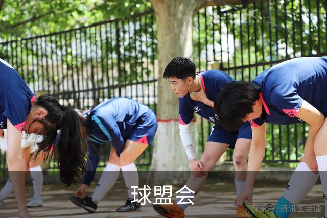 球盟会公司介绍
